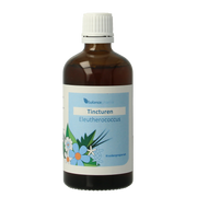 Balancepharma Eleutherococcus tincturen 100 Milliliter