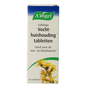 A Vogel Solidago 60.00 Tabletten