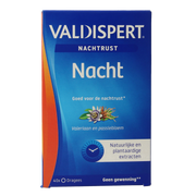 Valdispert Nacht 40.00 Dragees