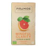 Piramide Mindful clarity bio 20 Zakjes