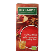 Piramide Spicy thee eko bio 20 Zakjes