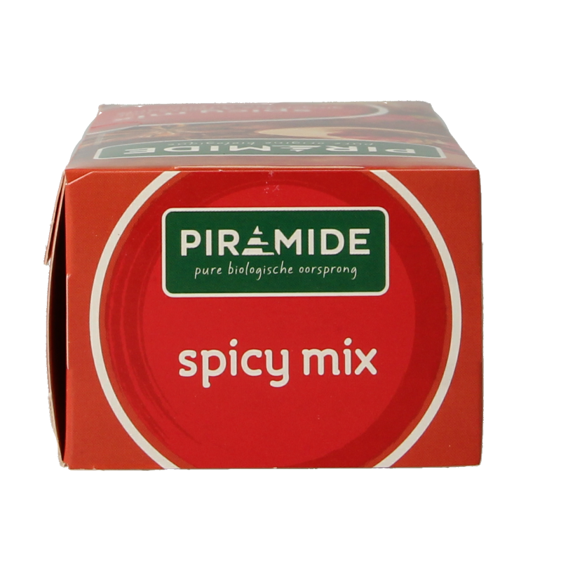 Piramide Spicy thee eko bio 20 Zakjes