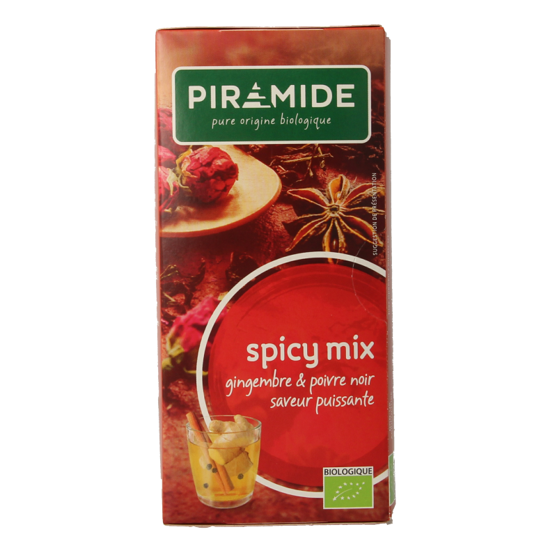 Piramide Spicy thee eko bio 20 Zakjes