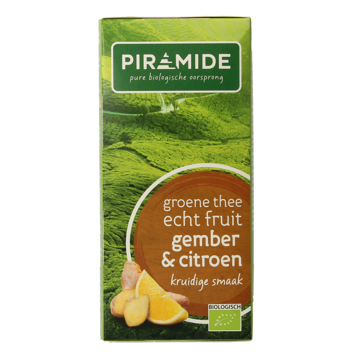 Piramide Groene thee met gember en citroen bio 20.00 Zakjes