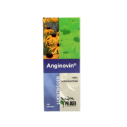 Pflüger Anginovin 100.00 Tabletten