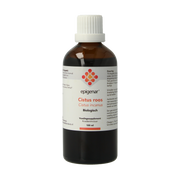 Epigenar Cistus incanus tinctuur bio 100 Milliliter