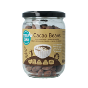 TerraSana Raw cacao bonen in glas bio 250.00 Gram