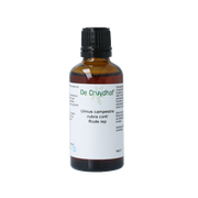 Cruydhof Ulmus campestre rubra / rode iep tinctuur 50.00 Milliliter