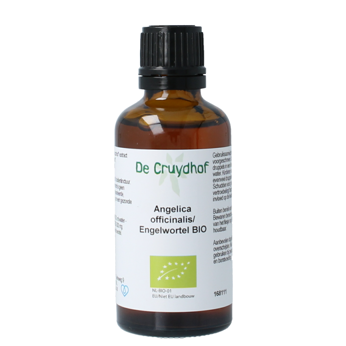 Cruydhof Angelica officinalis/engelwortel tinctuur bio 50.00 Milliliter