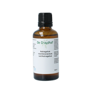 Cruydhof Astragalus membranaceus radix tinctuur 50.00 Milliliter