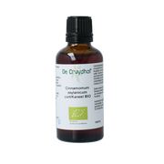Cruydhof Cinnamomum zeyl cort / kaneel tinctuur bio 50 Milliliter