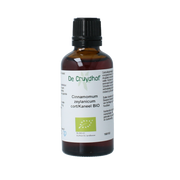Cruydhof Cinnamomum zeyl cort / kaneel tinctuur bio 50.00 Milliliter