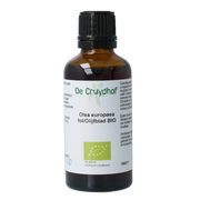 Cruydhof Olea europaea folia / olijfblad tinctuur bio 50.00 Milliliter