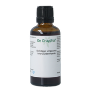 Cruydhof Solidago virg herb / guldenroede tinctuur 50.00 Milliliter