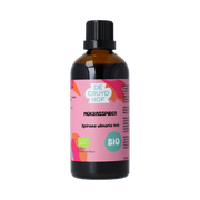 De Cruydhof Spiraea ulmaria herb / moerasspirea tinctuur bio 100.00 Milliliter