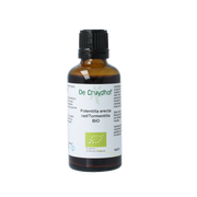 Cruydhof Tormentil wortel tinctuur bio 50.00 Milliliter