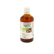 Cruydhof Zingiber officinalis rhiz/gember tinctuur bio 100.00 Milliliter