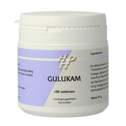 Holisan Gulukam 100.00 Tabletten