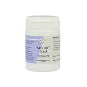 Ayurveda Shilajit plus 45.00 Vegetarische capsules