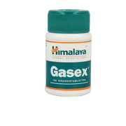 Holisan Gasex  100 Tabletten
