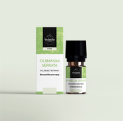 Volatile Olibanum serrata C02-SE 5.00 Milliliter