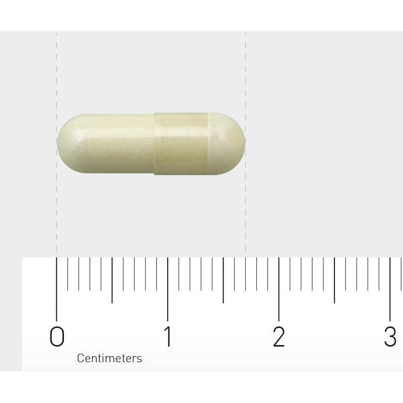 AOV 220 Pyridoxaal-5-fosfaat 120 Vegetarische capsules