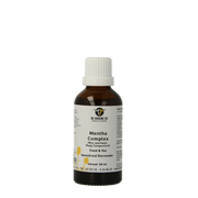 Groene Os Menta complex hond/kat 50.00 Milliliter