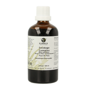 Groene Os Solidago complex paard/pony 100.00 Milliliter