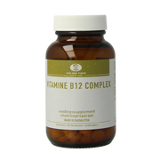 van der Pigge Vitamine B12 complex 90 Zuigtabletten
