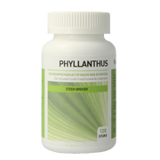 Ayurveda Health Phyllanthus niruri 120.00 Tabletten