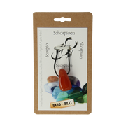Steengoed Sterrenbeeldhanger schorpioen  1.00 Stuks