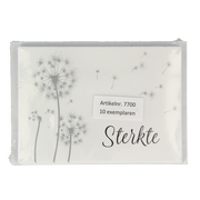 Spruyt Hillen Condoleance kaart & envelop SH 10.00 Stuks