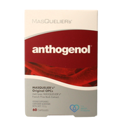 Masqueliers Anthogenol 60 Capsules