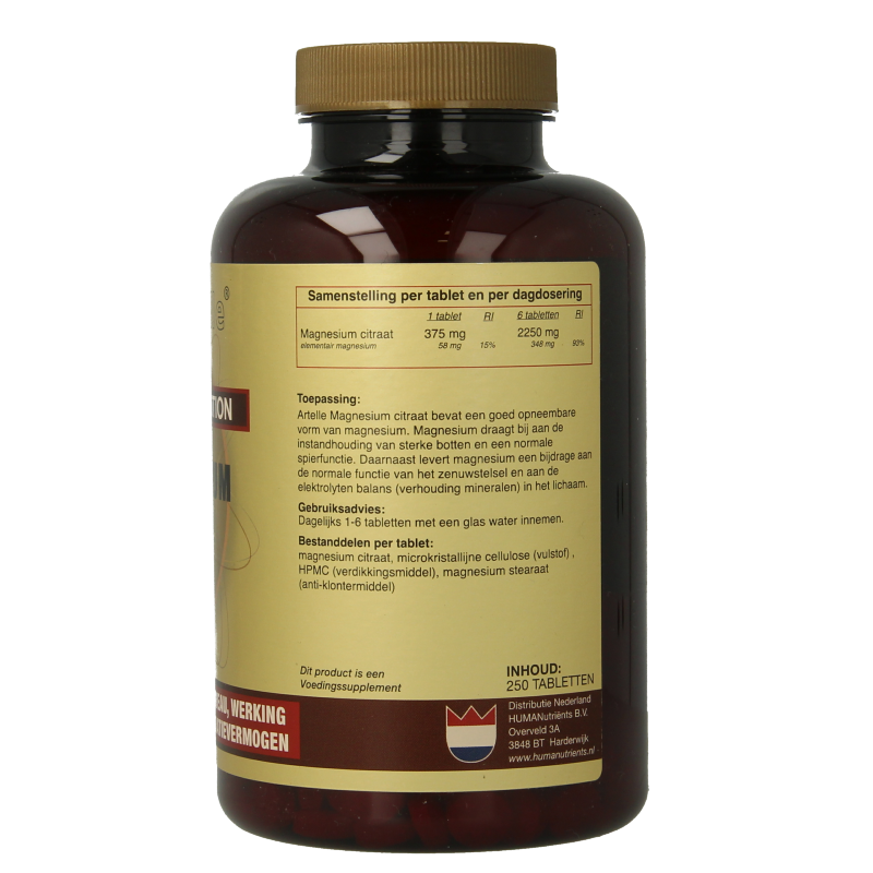 Artelle Magnesium basic 250 Tabletten
