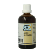 GO Alnus glutinosa 100 Milliliter