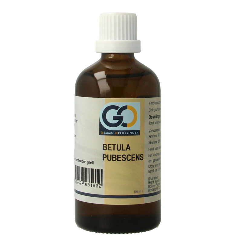 GO Betula pubescens bio 100 Milliliter