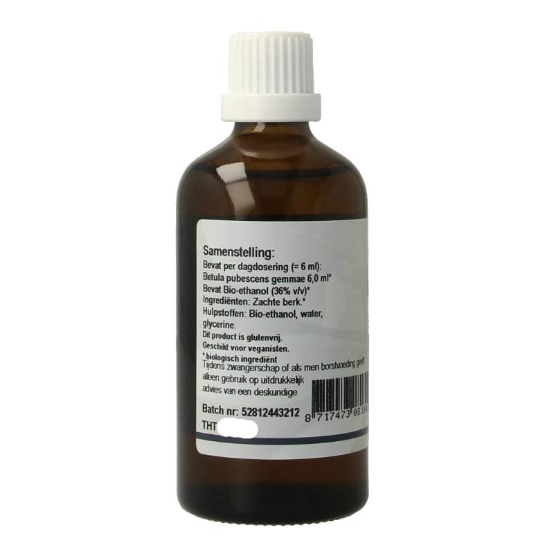 GO Betula pubescens bio 100 Milliliter