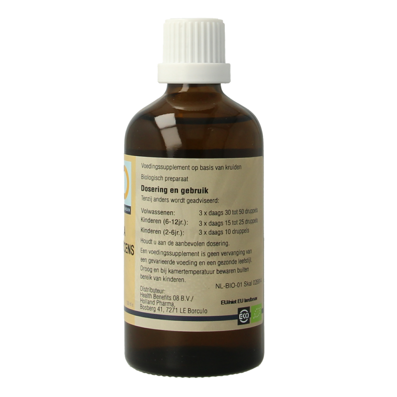 GO Betula pubescens bio 100 Milliliter