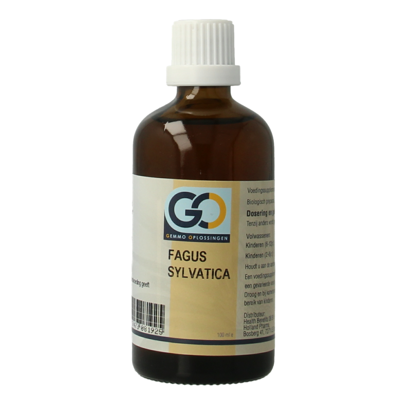 GO Fagus sylvatica bio 100 Milliliter