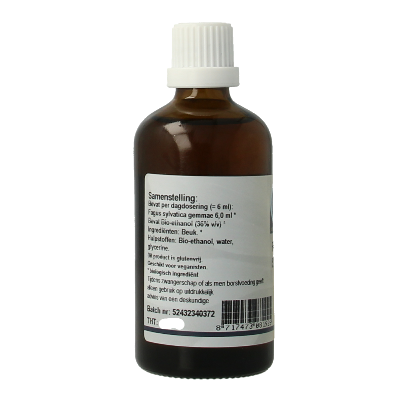 GO Fagus sylvatica bio 100 Milliliter