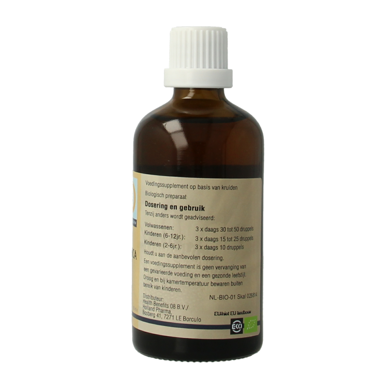 GO Fagus sylvatica bio 100 Milliliter