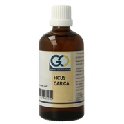 GO Ficus carica bio 100 Milliliter