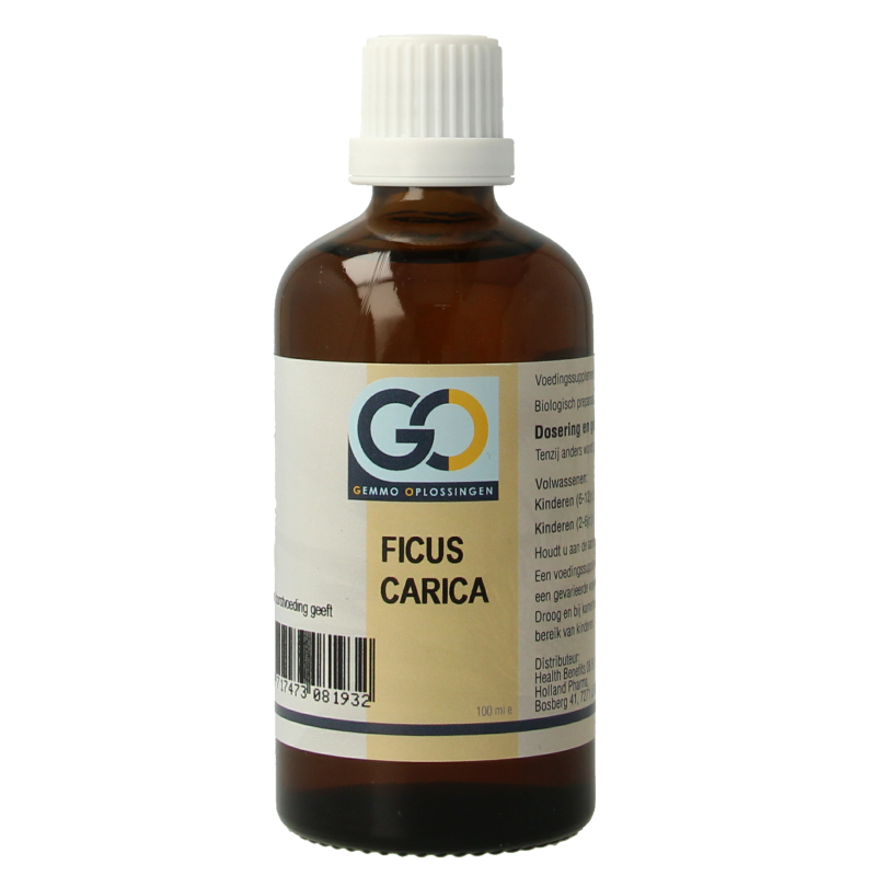 GO Ficus carica bio 100 Milliliter
