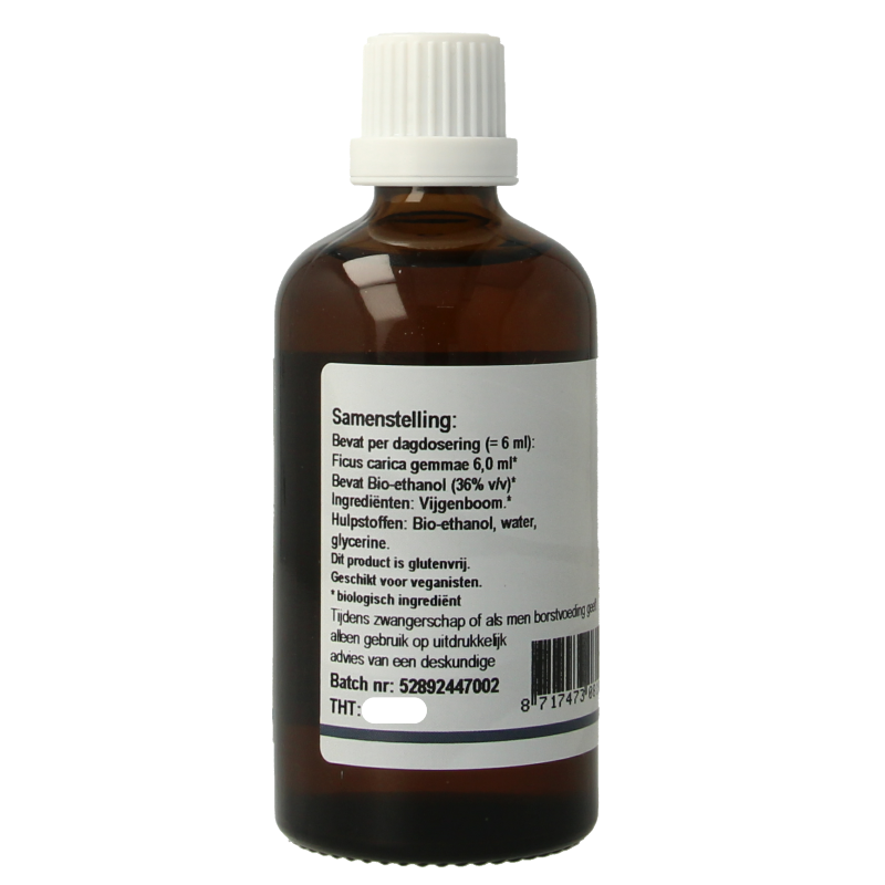 GO Ficus carica bio 100 Milliliter