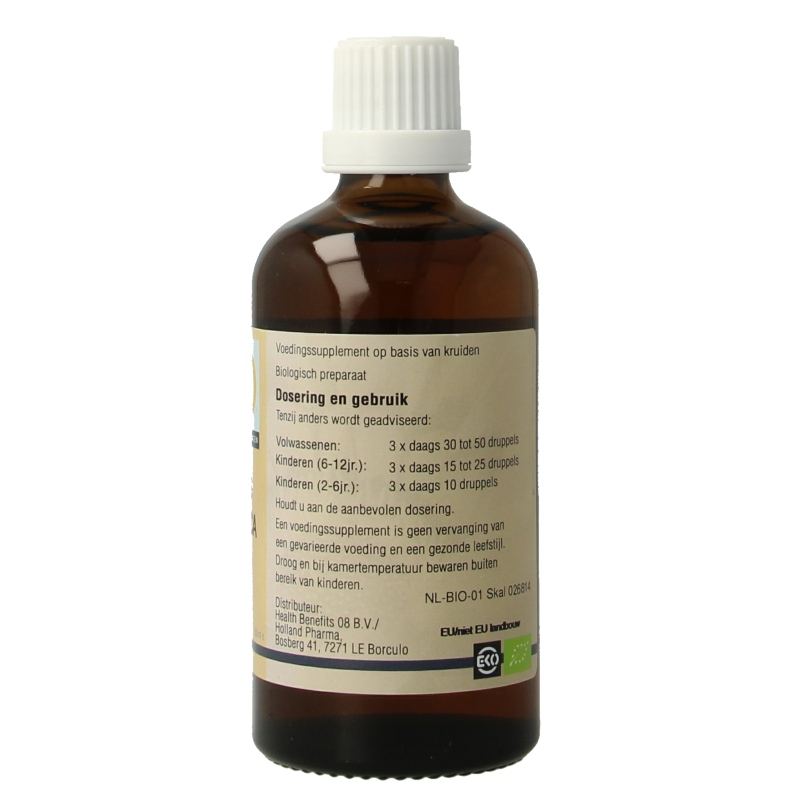 GO Ficus carica bio 100 Milliliter