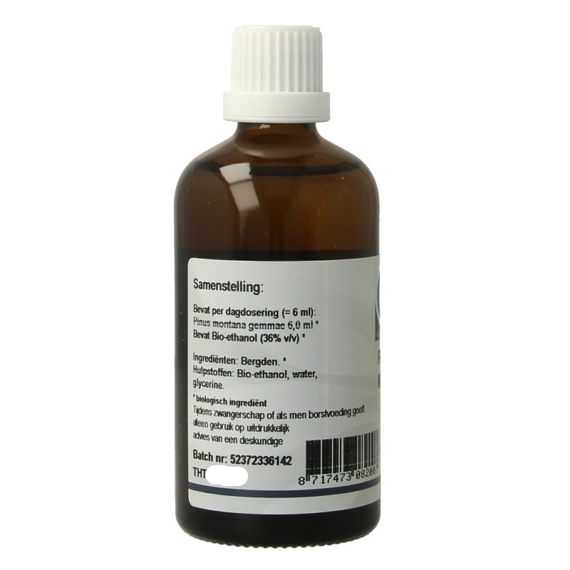 GO Pinus montana 100 Milliliter