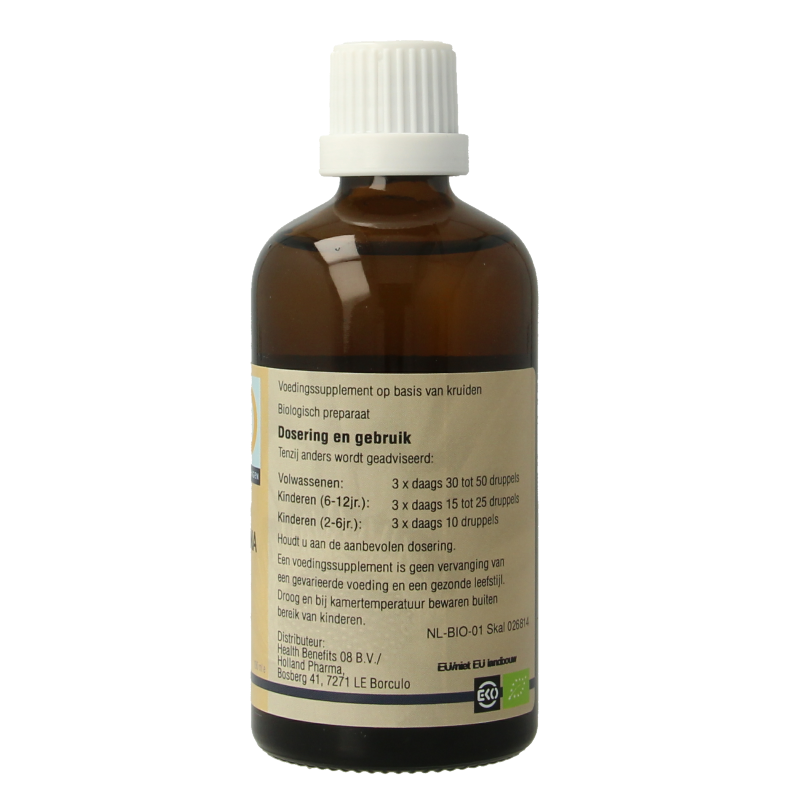 GO Pinus montana 100 Milliliter