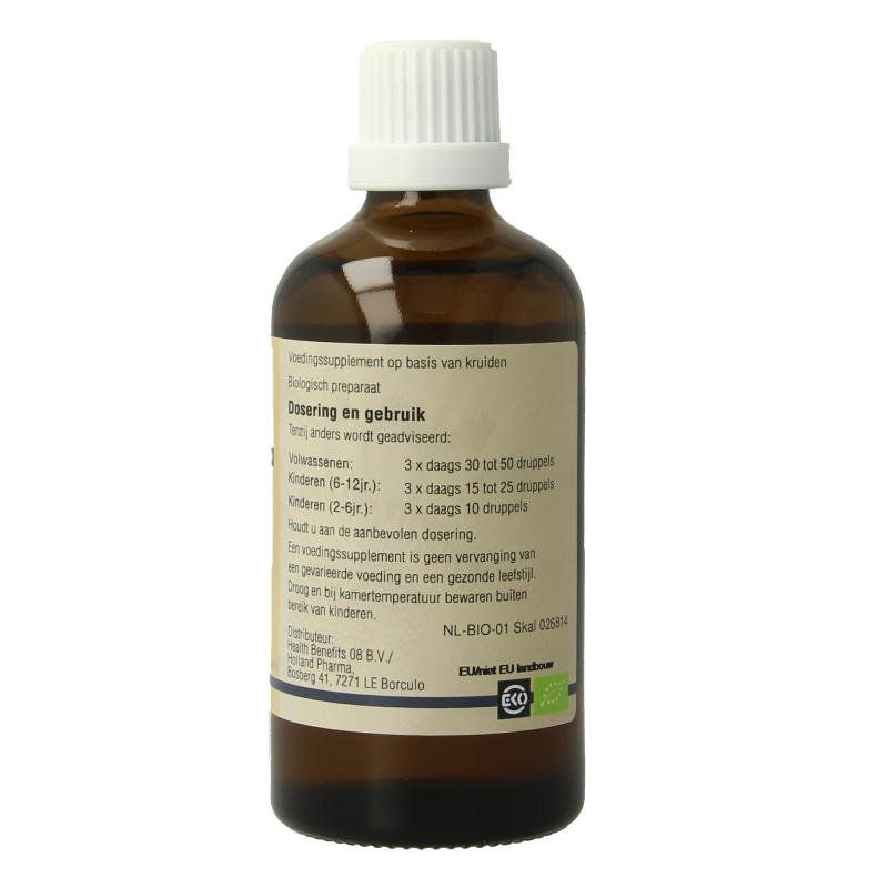 GO Ribes nigrum bio 100 Milliliter