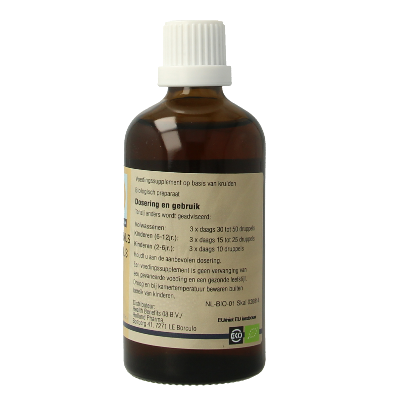 GO Rosmarinus officinalis bio 100 Milliliter