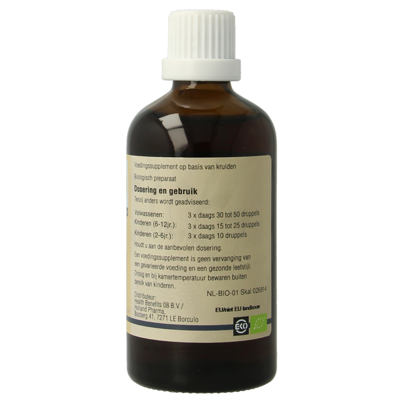 GO Rubus idaeus bio 100 Milliliter